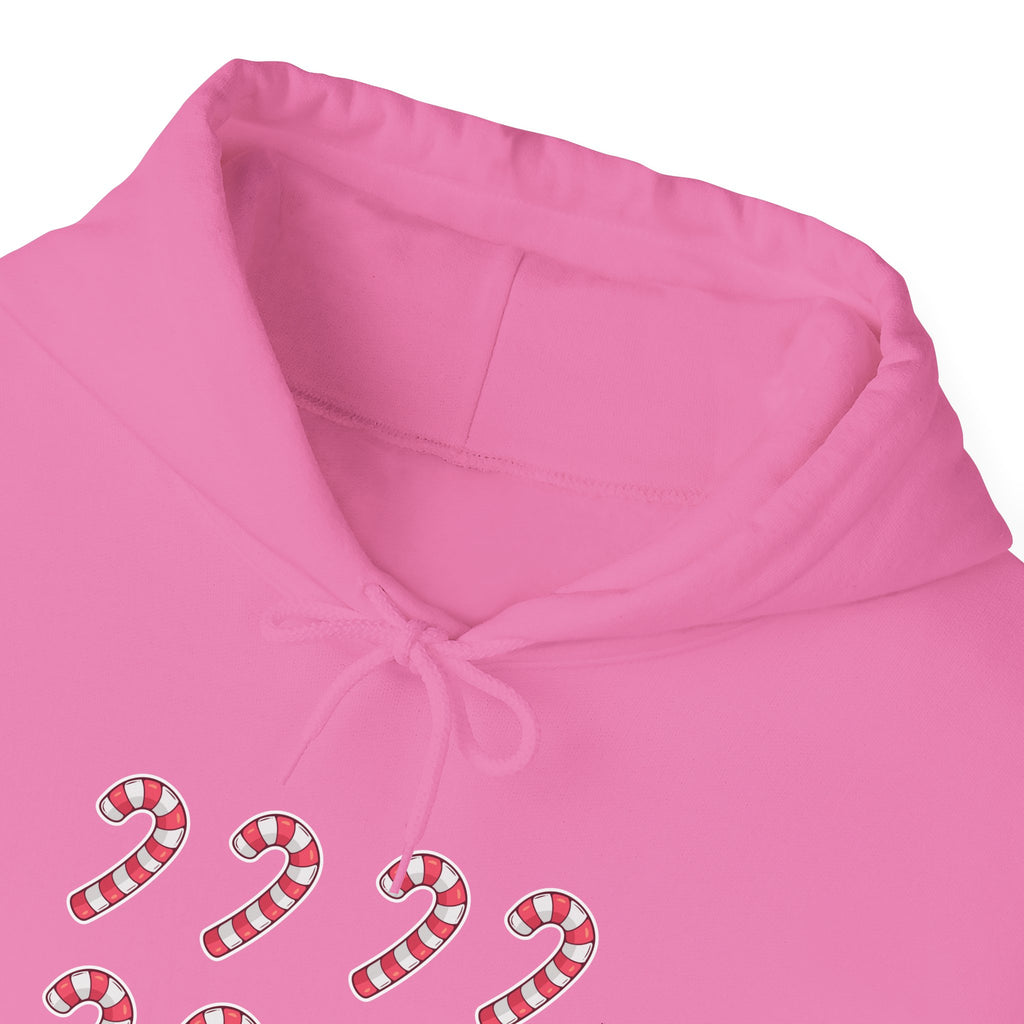 Candy Cane Pattern Hoodie
