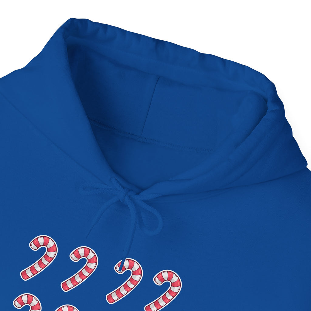 Candy Cane Pattern Hoodie