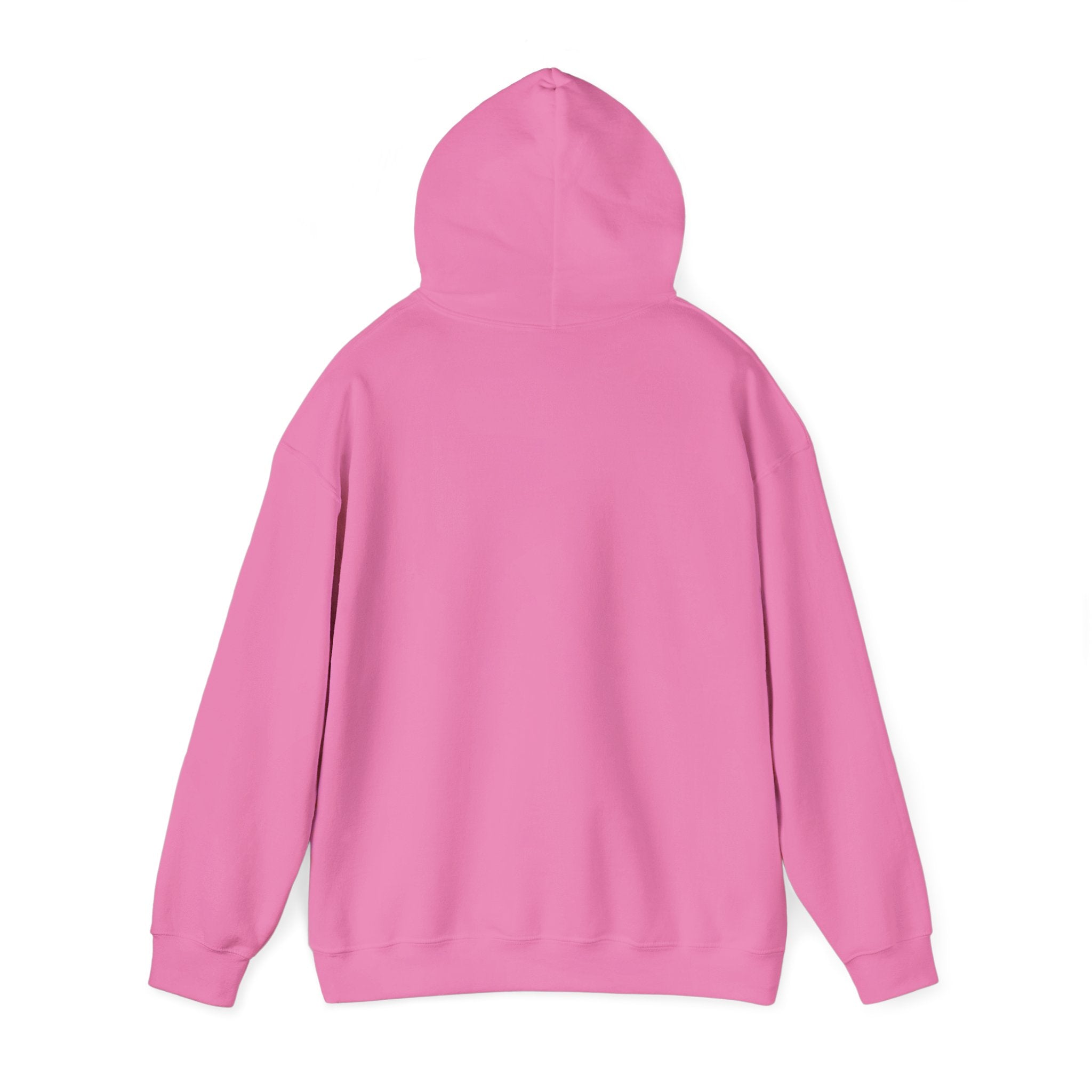 Powerful Hoodie — "You are going to f*cking make it" - Hooded Sweatshirt