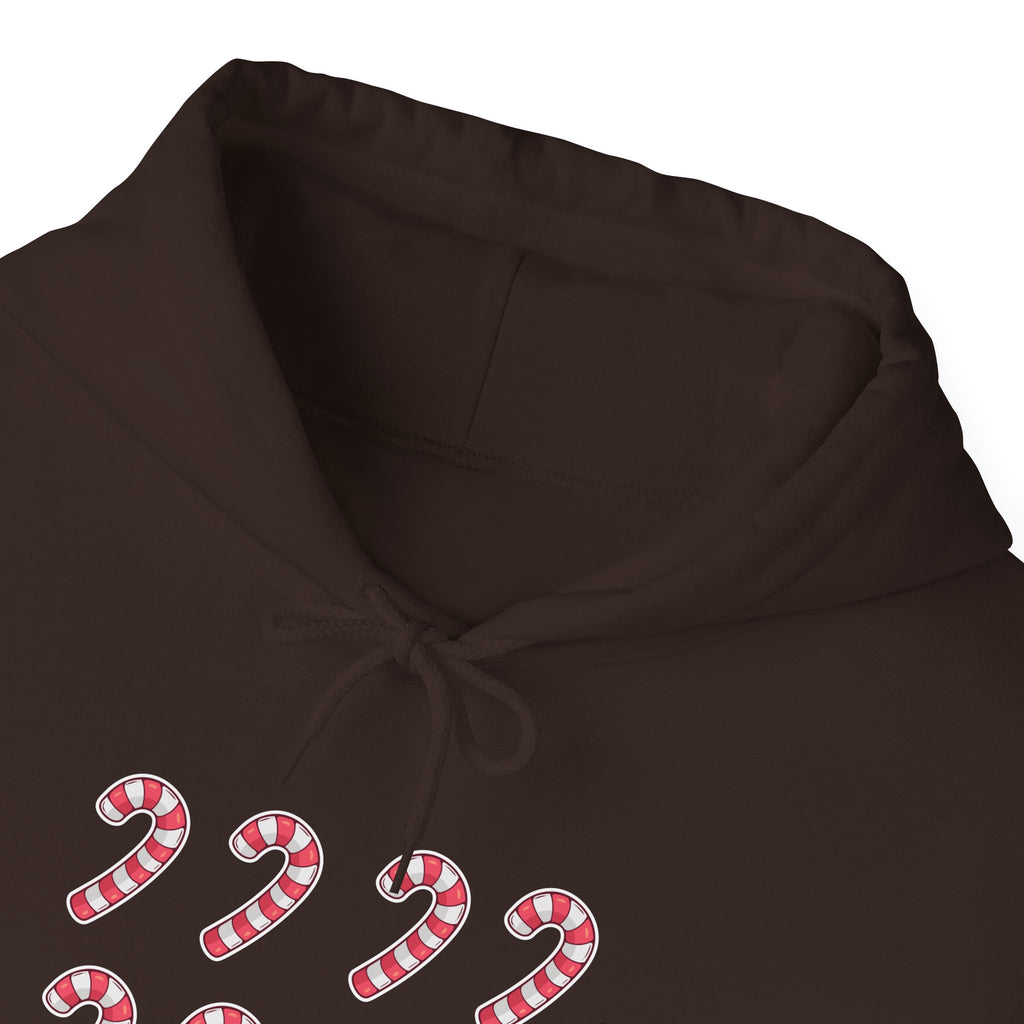 Candy Cane Pattern Hoodie