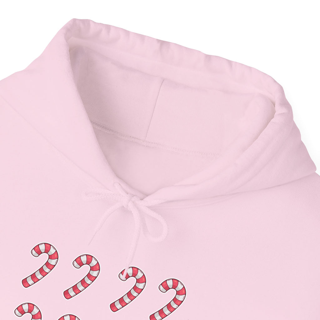 Candy Cane Pattern Hoodie